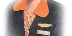 p2.jpg (19505 bytes)